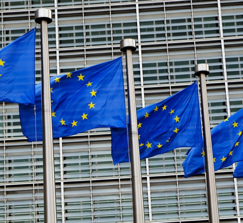 European Union Flags