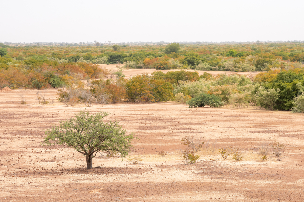 Enhancing EU Coordination and Impact in the Sahel: A Strategic Response ...