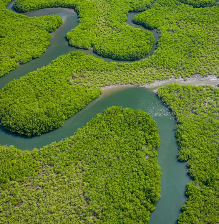 Rivers flowing through green spaces