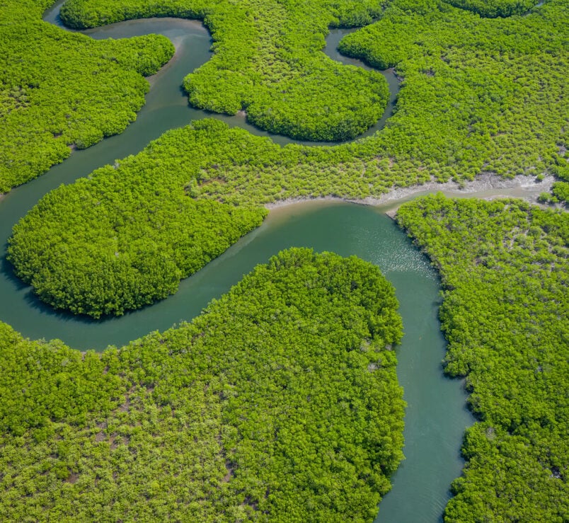Rivers flowing through green spaces